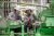 Two employees work at a bp Archaea Energy plant