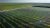 Rows of solar panels at a Lightsource bp solar farm