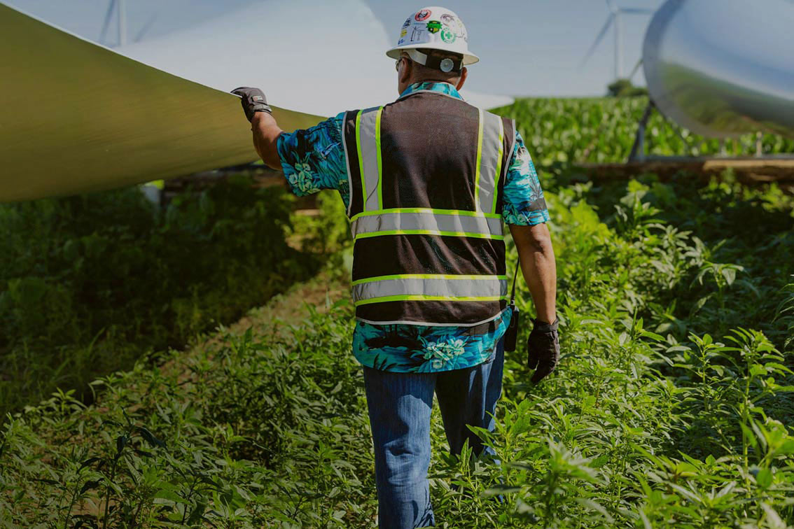 Man inspecting fowler ridge wind farm repower project